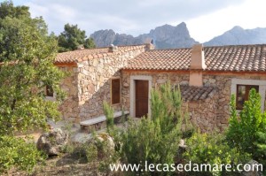 San Pantaleo splendida tenuta