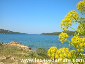 Trilocale a due passi dal mare e dal porticciolo,OCCASIONE