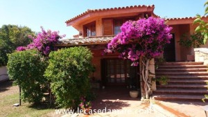 Pittulongu villa singola con piscina a 250 mt dal mare