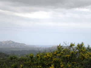 Olbia , casa rurale vista mare