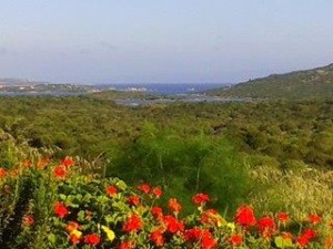 Palau stazzo gallurese vista mare