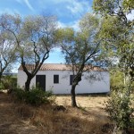 Arzachena, immerso nella quiete della campagna Gallurese splendido miglioramento fondiario.