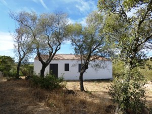 Arzachena, immerso nella quiete della campagna Gallurese splendido miglioramento fondiario.