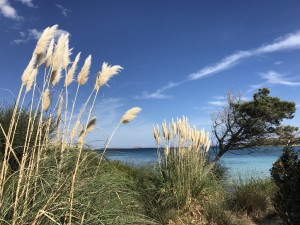 Porto Istana, splendida villa , posizione unica vista e vicinanza mare.