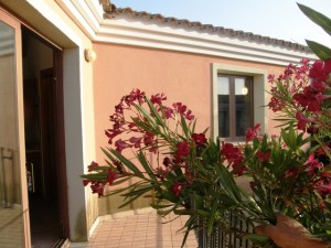 San Pasquale splendida chicca occasione da non perdere…