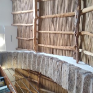 Splendida Azienda agricola in comune di Sant’Antonio di Gallura- Calangianus