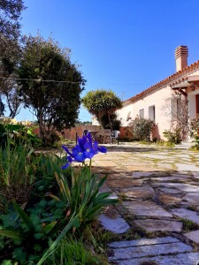 Santa Teresa Gallura “stazzu nelle campagne Galluresi”