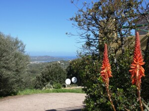 San Pasquale, Trilocale al piano terra con giardino vista mare