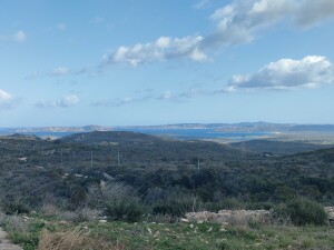 SPLENDIDA TENUTA VISTA MARE nelle campagne di Santa Teresa Gallura
