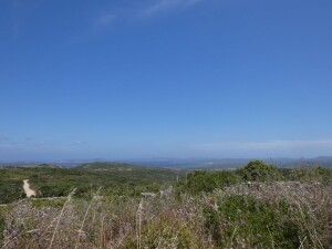 SPLENDIDA TENUTA  VISTA MARE nelle campagne di Santa Teresa Gallura