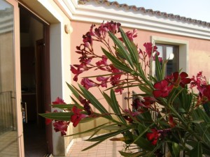 Tra Palau e Santa Teresa Gallura, villino al primo piano con giardino AFFITTO