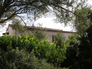 Porto Pozzo spazioso bilocale no condominio affare € 100.000