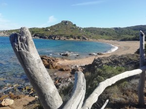 Santa Teresa Gallura Localita’ Porto quadro fronte mare !!!