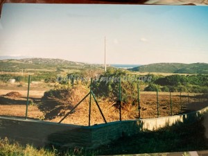 Terreno edificabile pianeggiante A Ruoni